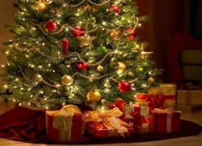 8 de diciembre: la tradición del árbol de Navidad