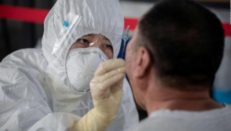 Nueva cepa de gripe porcina podría transmitirse a humanos