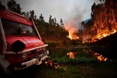 Tragedia en Portugal: incendio forestal causa más de 50 muertos