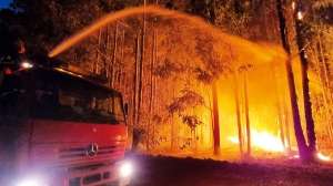 Incendio en Río Negro quema 4.000 hectáreas de bosque