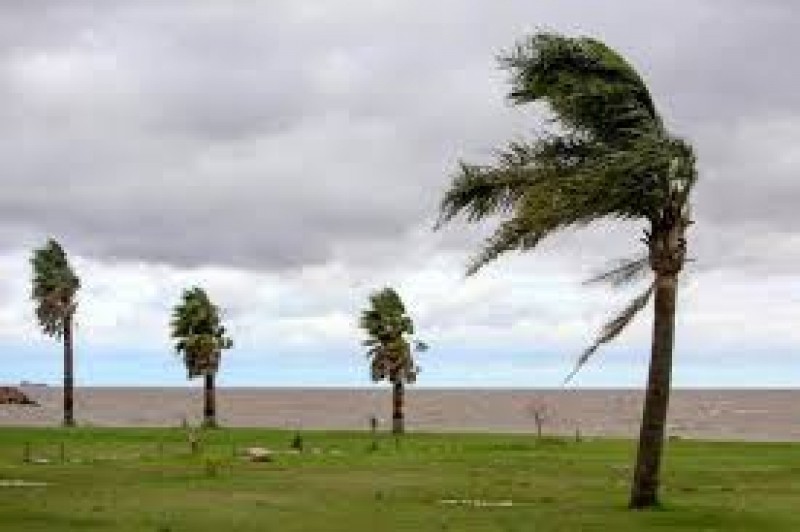 Alerta amarilla por vientos fuertes en el sur del país