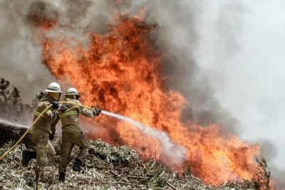 Portugal: 43 personas fallecidas en los incendios forestales