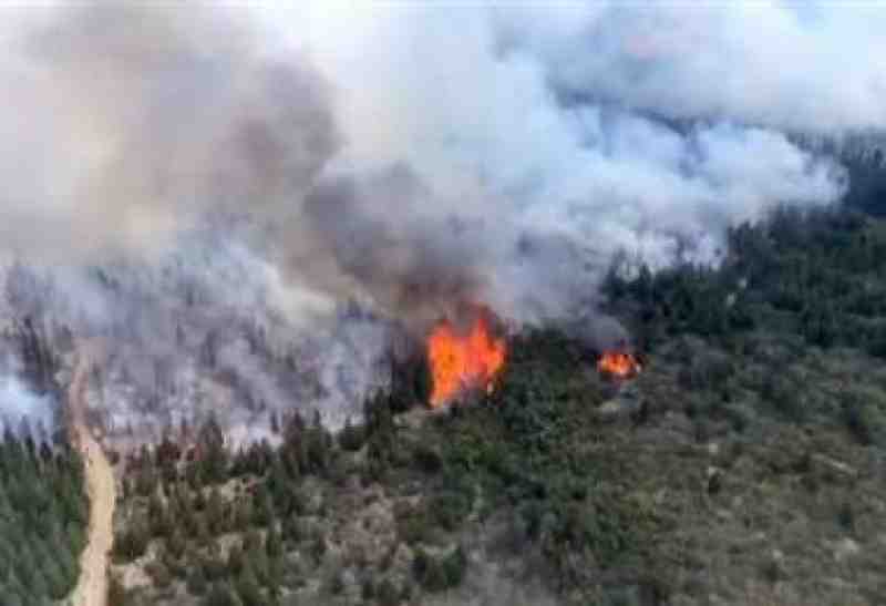 Incendio en la Patagonia arrasa cerca de 8.500 hectáreas