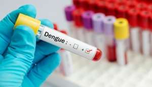 Recomendaciones para prevenir las enfermedades trasmitidas por Aedes aegypti