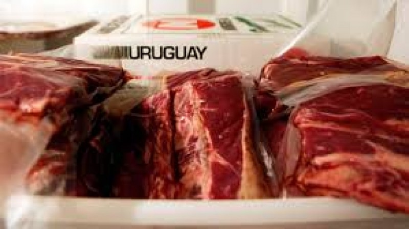 Exportaciones de carne se incrementaron 9% entre enero y agosto