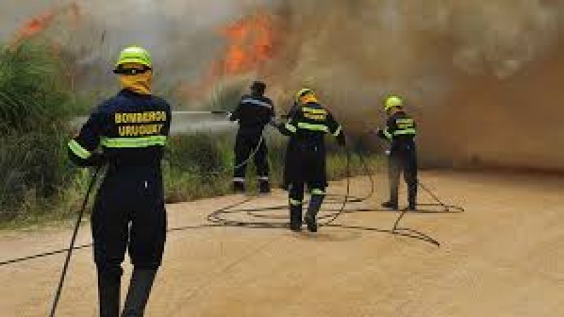 Incendio en Melilla fue controlado tras 40 horas de trabajo