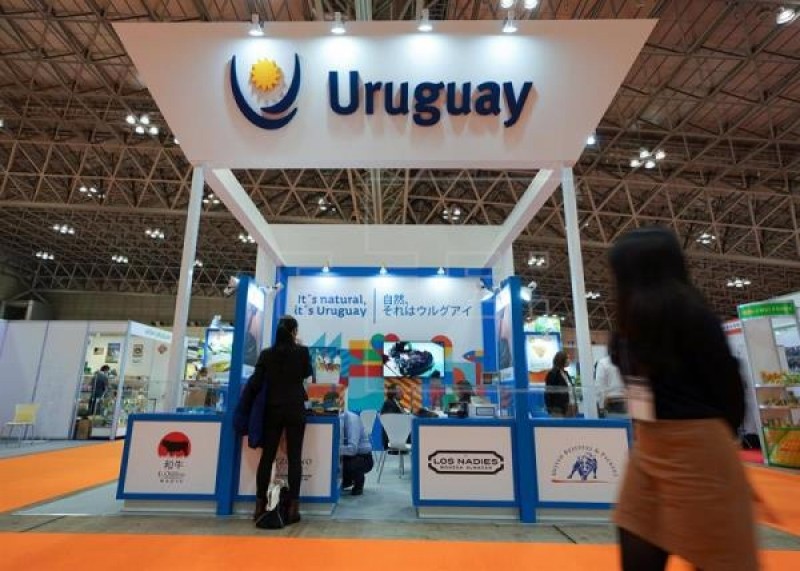 “Somos el único país del Mercosur con grado inversor”