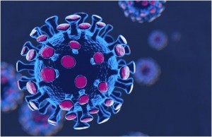 14 fallecimientos y 412 nuevos casos por Coronavirus