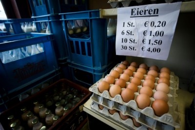 Bélgica y Holanda investigan huevos contaminados