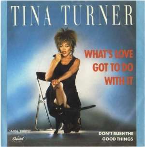 Tina Turner - What&#039;s Love Got To Do With It