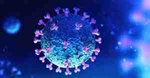 Coronavirus: 7 fallecimientos y 342 casos nuevos