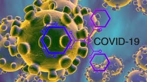 Van 492 casos confirmados de coronavirus y 260 recuperados