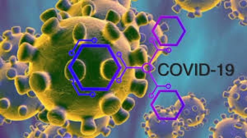 Coronavirus: 11 nuevos fallecimientos y 590 casos detectados