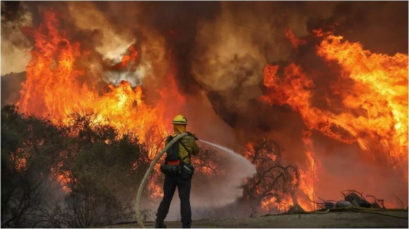 800 mil hectáreas quemadas por incendios forestales